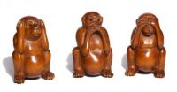 The 3 wise monkeys